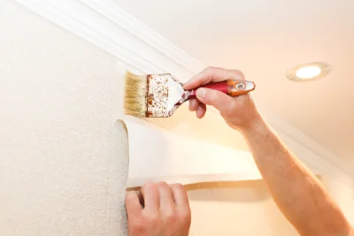 Pose de papier peint à Auzon — revêtements muraux et toiles de verre